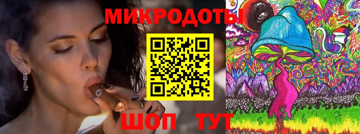 Галлюциногенные грибы Psilocybe Карабулак