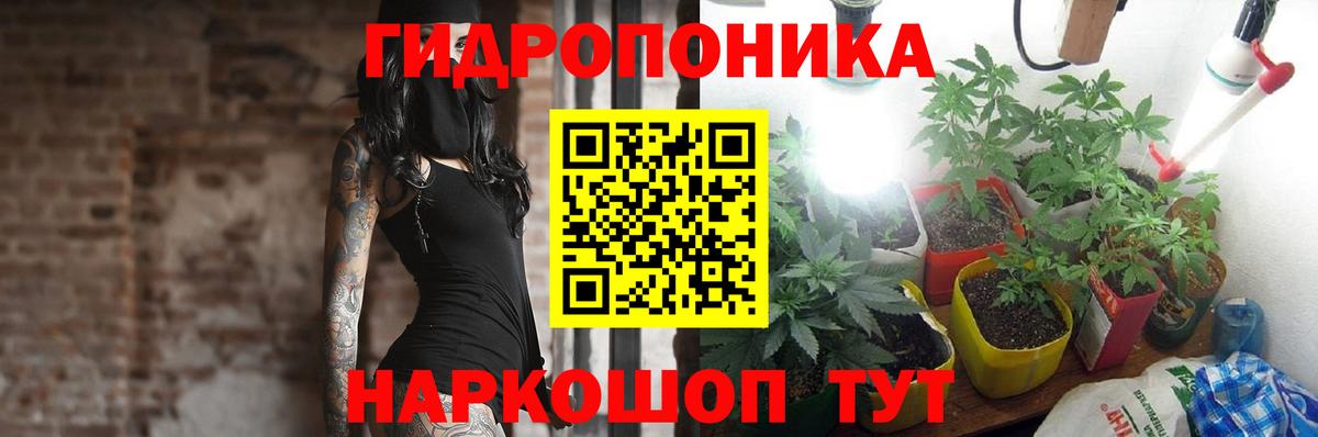 Карабулак  Бошки марихуана гибрид  Шишки марихуана SATIVA & INDICA  Шишки марихуана сатива  Вход с VPN 